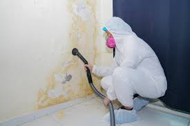 Mold Documentation for Insurance Claims in Kasson, MN